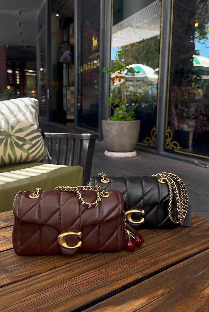 Coach Tabby Shoulder Bag 20